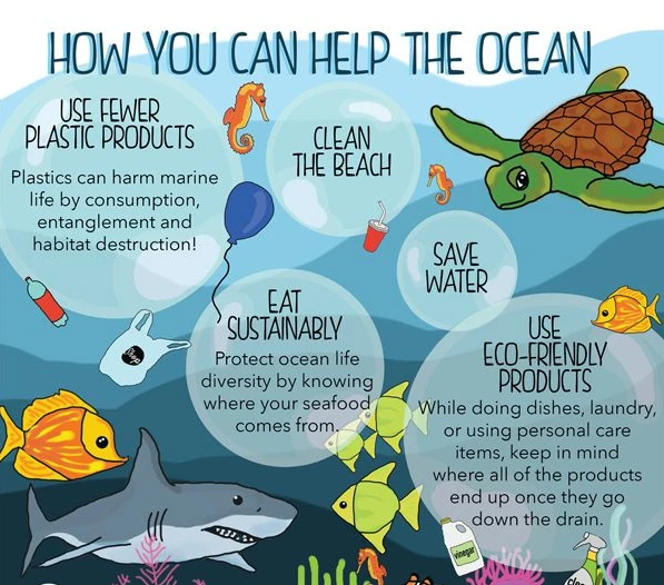 How Custom Silicone Promotional Items Can Help Raise Awareness for Marine Animal Protection