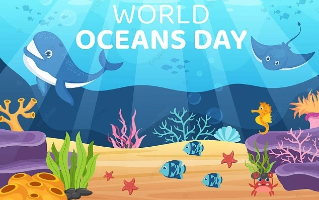 Customized Silicone Keychains: Unlocking a New Path to Marine Animal Conservation